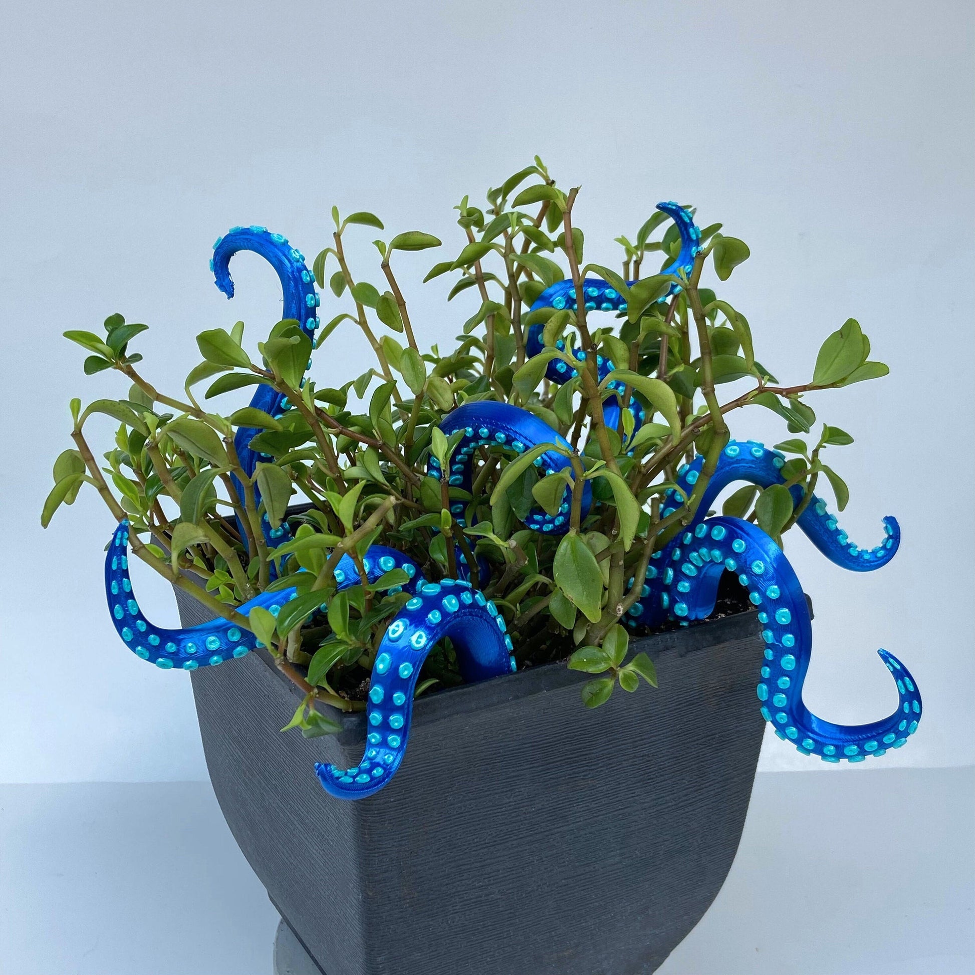 Gluschwein - Set of 7 Sea monster Tentacles