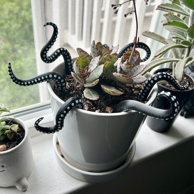 Gluschwein - Set of 7 Sea monster Tentacles