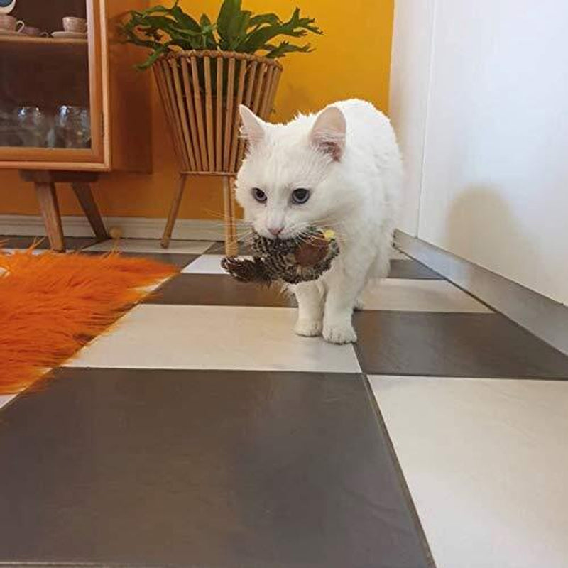 Jouet pour chat – Oiseau gazouillant simulé