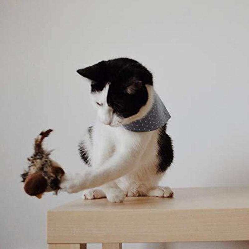 Jouet pour chat – Oiseau gazouillant simulé