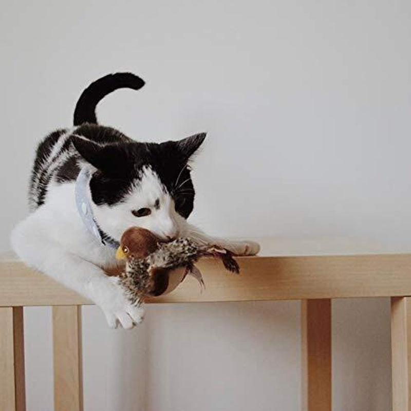 Jouet pour chat – Oiseau gazouillant simulé