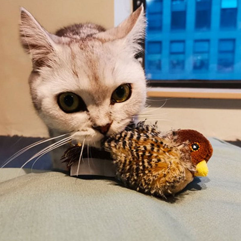 Jouet pour chat – Oiseau gazouillant simulé