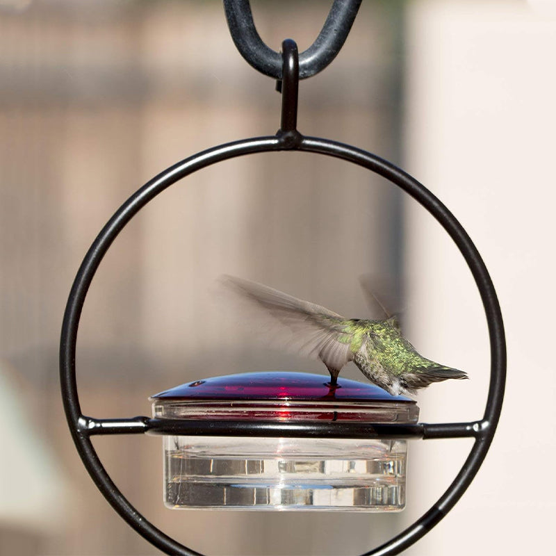 Gluschwein - Einfacher Kolibri-Wasserspender aus Metall