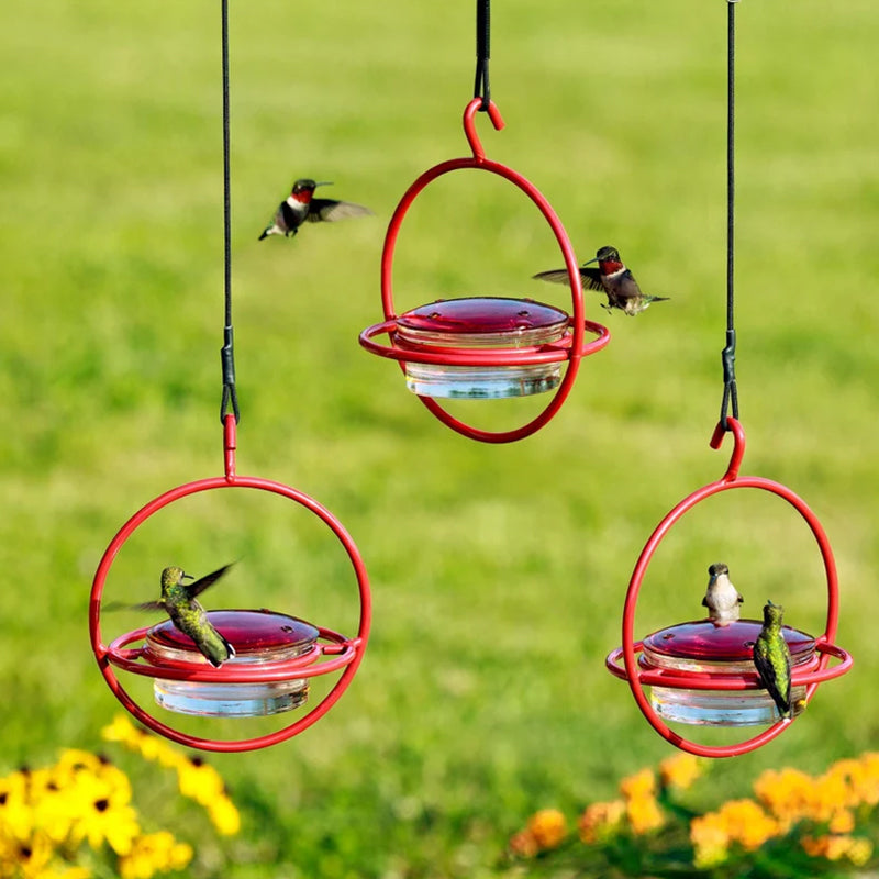 Gluschwein - Einfacher Kolibri-Wasserspender aus Metall