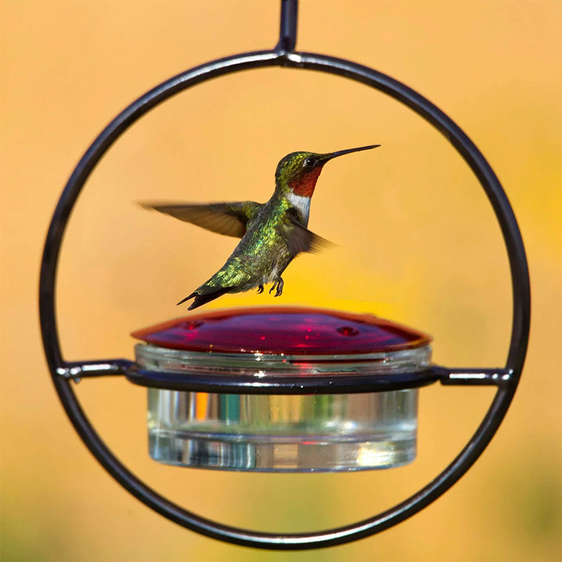 Gluschwein - Einfacher Kolibri-Wasserspender aus Metall