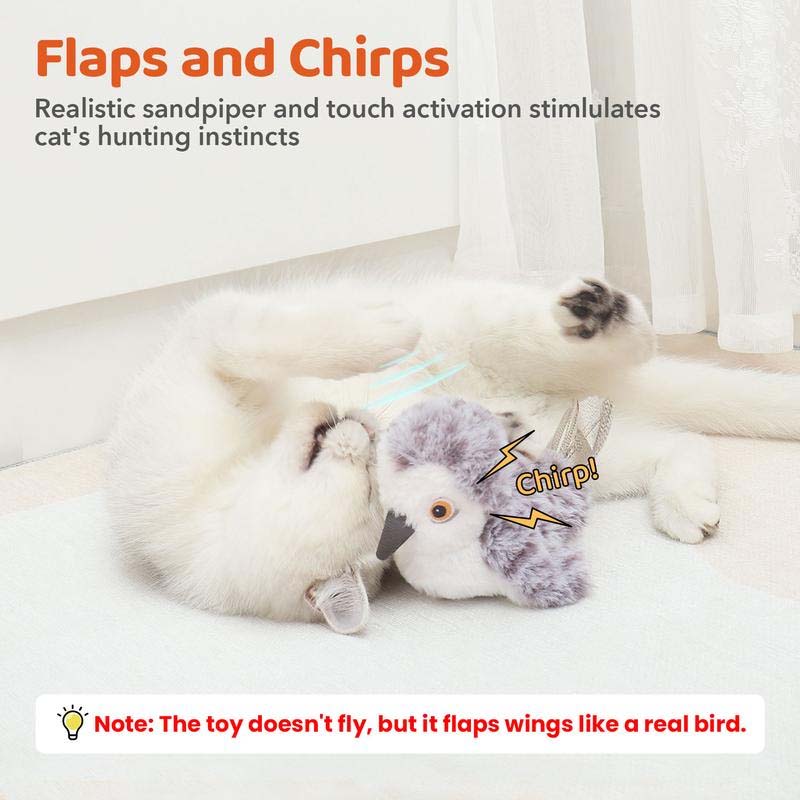 Jouet pour chat – Oiseau gazouillant simulé