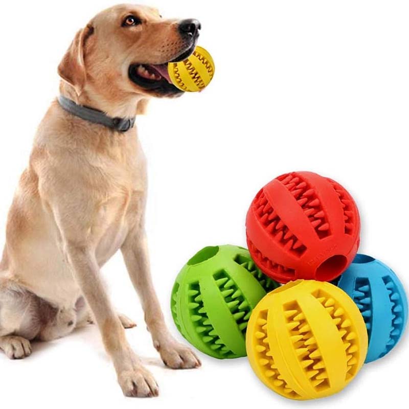 Jouets de dentition pour chiens