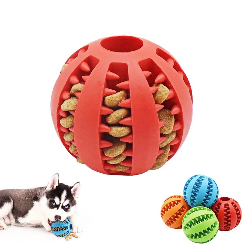 Jouets de dentition pour chiens