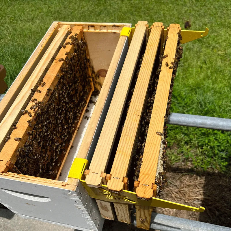 Gluschwein - Praktische Bienenstock-Inspektionshalterung