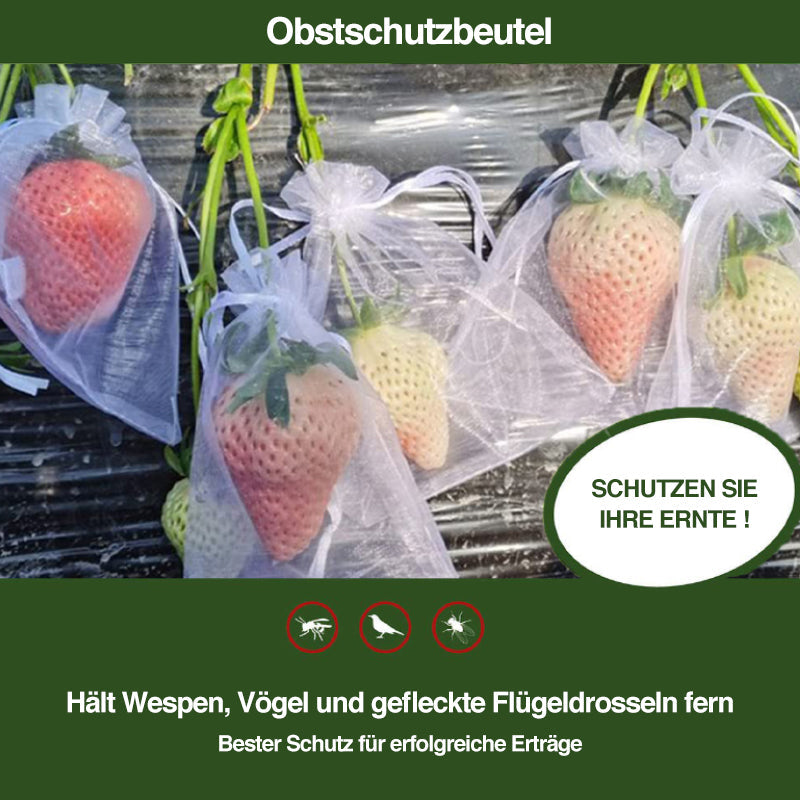 Gluschwein - Obstschutzbeutel (100 Stück)