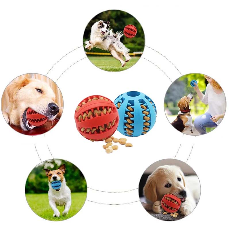 Jouets de dentition pour chiens