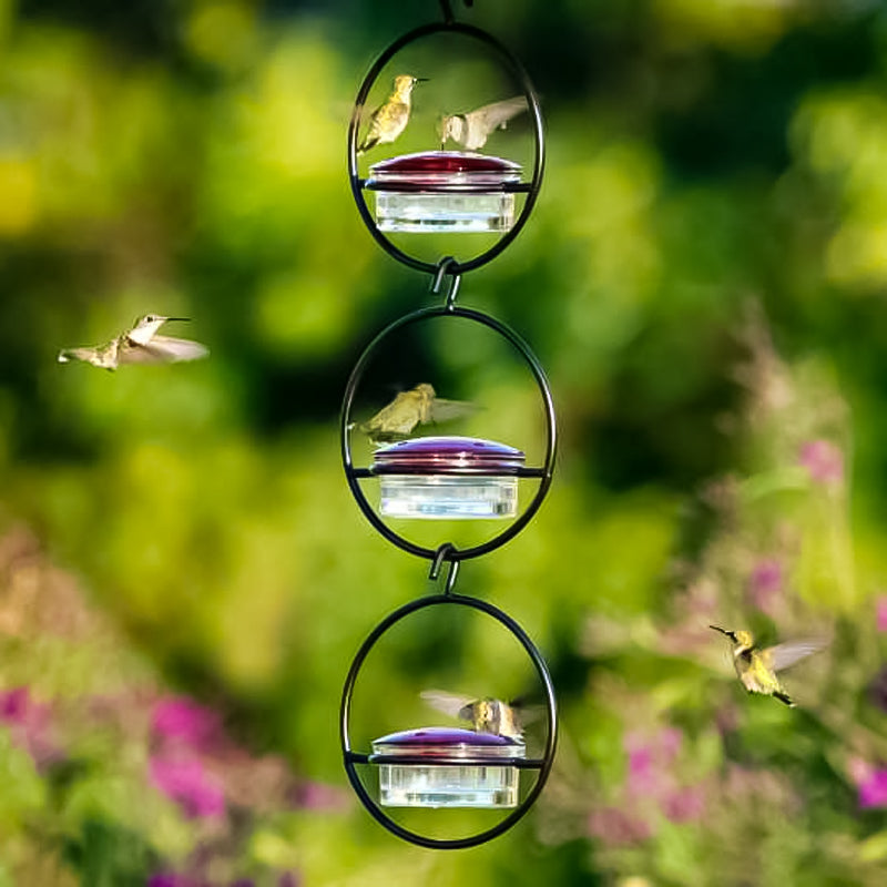 Gluschwein - Einfacher Kolibri-Wasserspender aus Metall