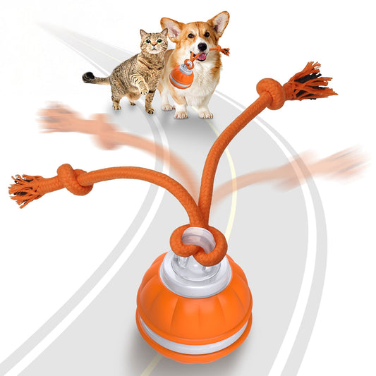 RopeBall - Lustiger bewegungsaktivierter Hundeball