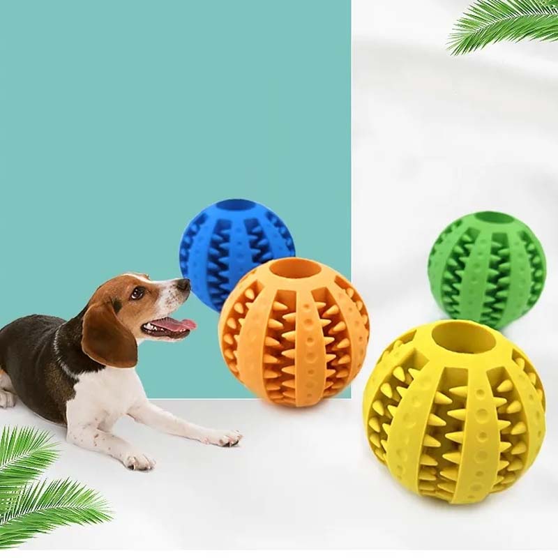 Jouets de dentition pour chiens