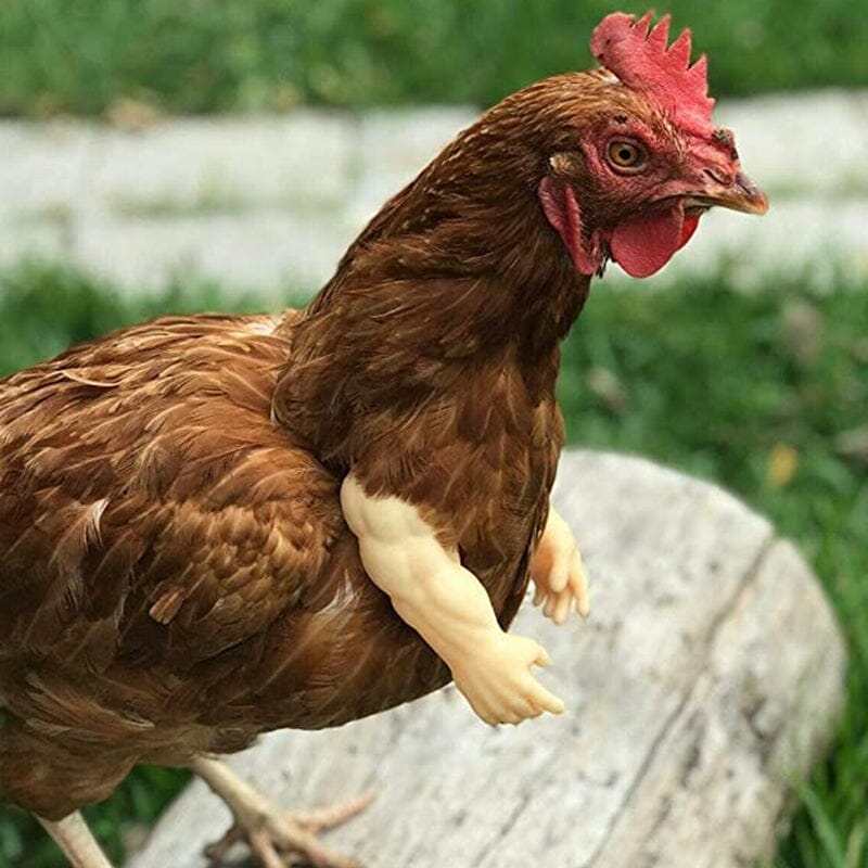 Gluschwein - Dekorative Hühnerarme, lustige Tierkostüme🐓