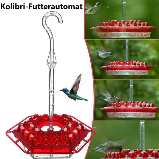 Gluschwein - Hängende rote sechseckige Kolibri-Fütterungsanlage