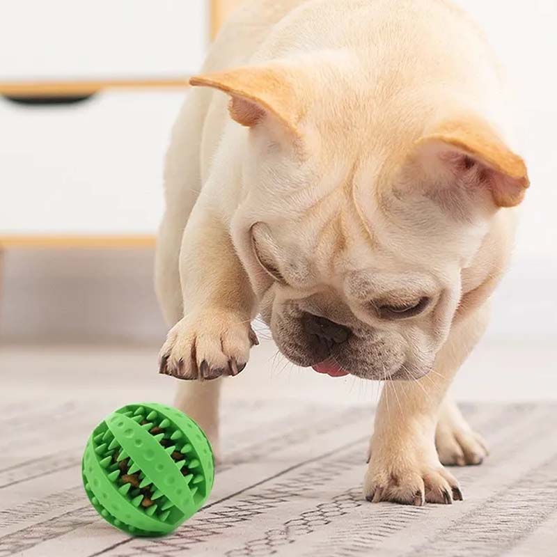 Jouets de dentition pour chiens