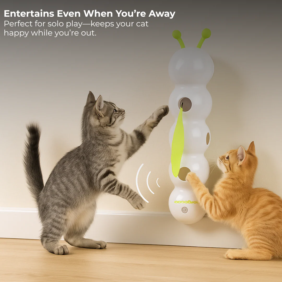 WormWhirl - Juguete interactivo para gatos con movimiento de caracol