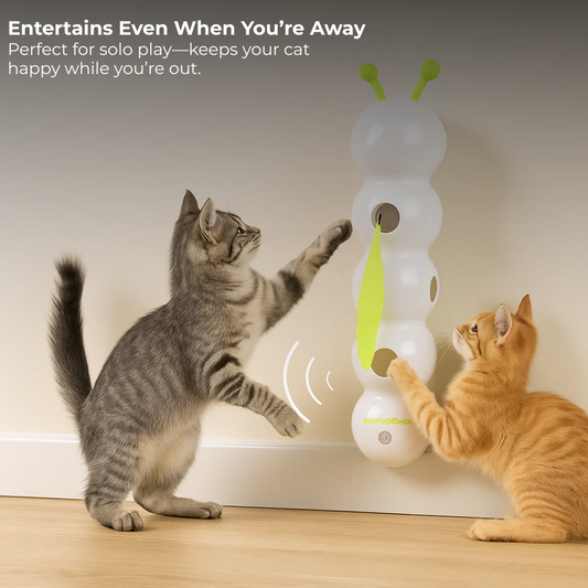 WormWhirl - Jouet interactif pour chat avec mouvement d'escargot