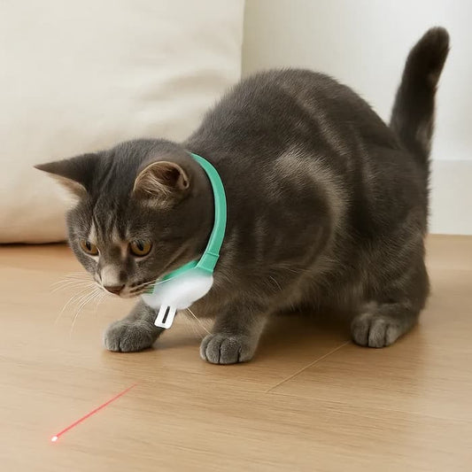 Gluschwein - Automatisches Katzen-Laserhalsband
