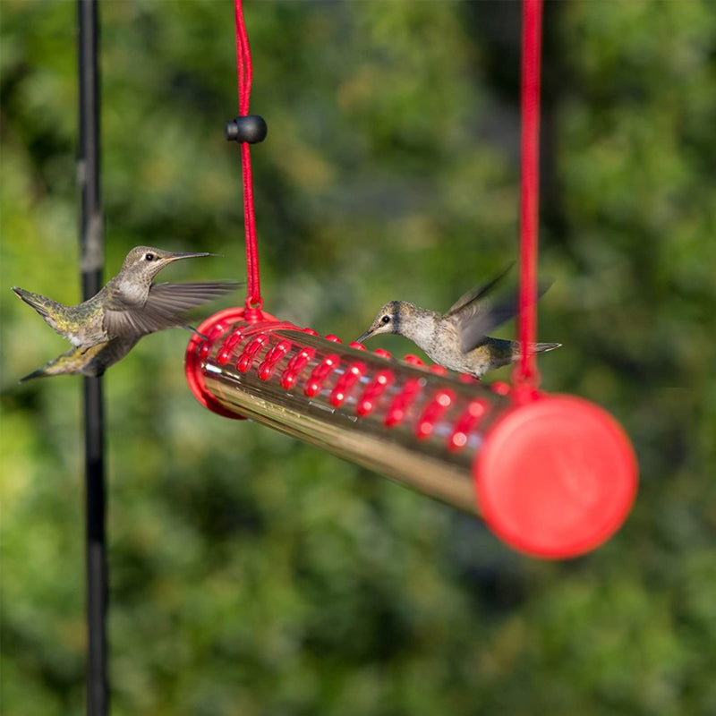 Gluschwein - Blumenbar-Kolibri-Futterstation