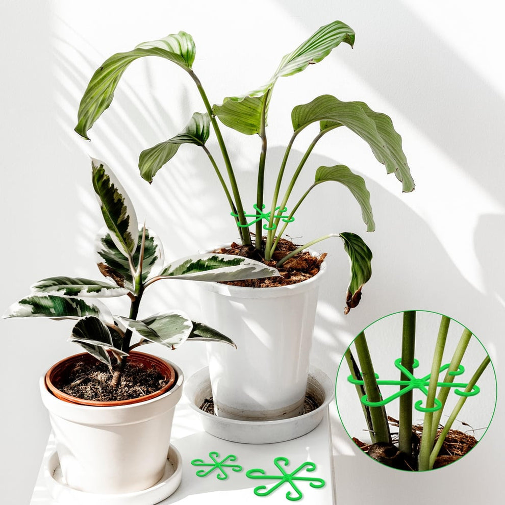 CompactPlant - Kit de stabilisation des tiges de plantes – Pour une croissance saine et une assise sûre