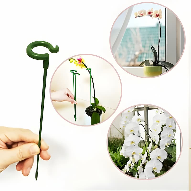 OrchidSupport