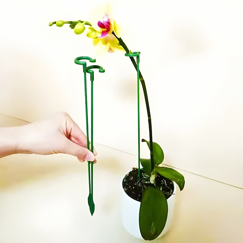 OrchidSupport