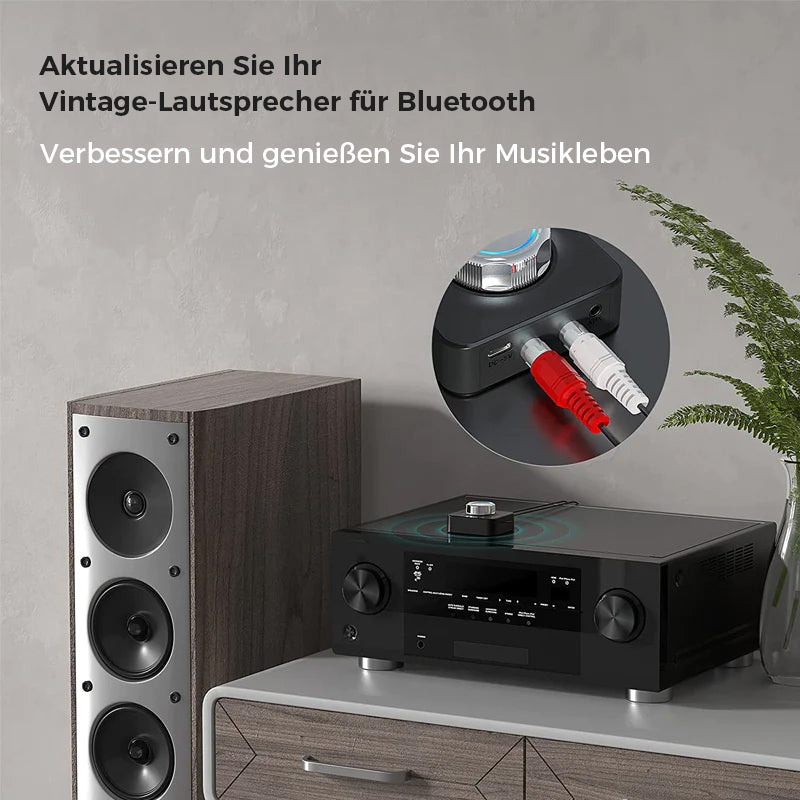 Gluschwein - Bluetooth 5.0 Audio-RCA-Empfänger