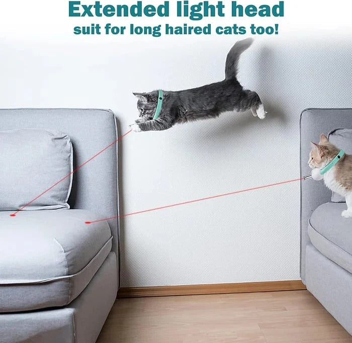 Gluschwein - Automatisches Katzen-Laserhalsband