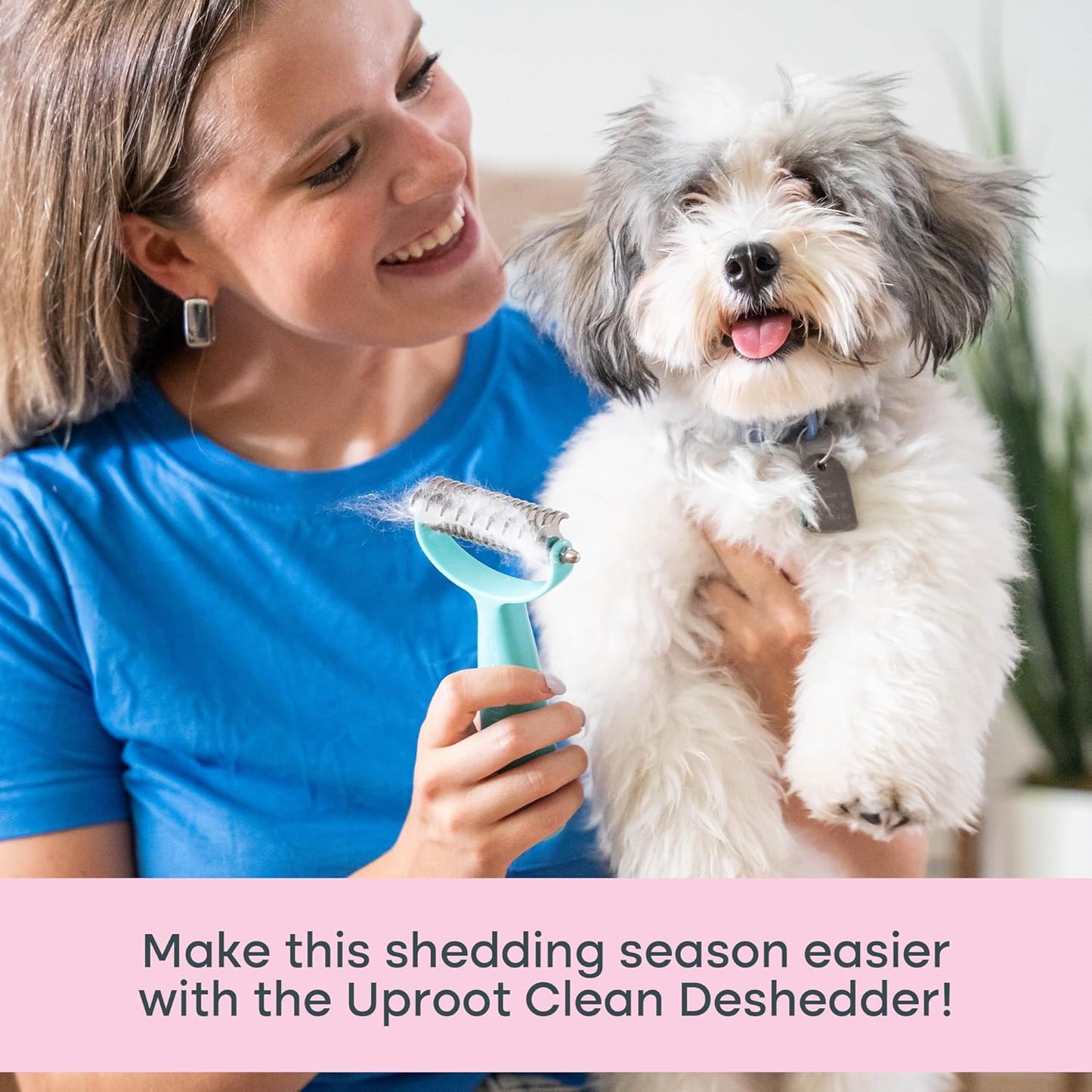 DeshedBrush