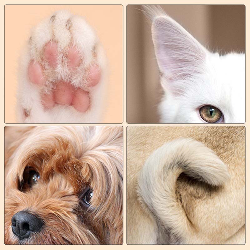 Gluschwein - Paw Trimmer - Präzisionstrimmer – Verwandeln Sie die Körperpflege in entspannte, schnelle und selbstbewusste Momente