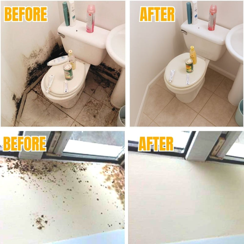 MoldBlast -  Schimmel schnell entfernen für ein sichereres, frischeres Zuhause