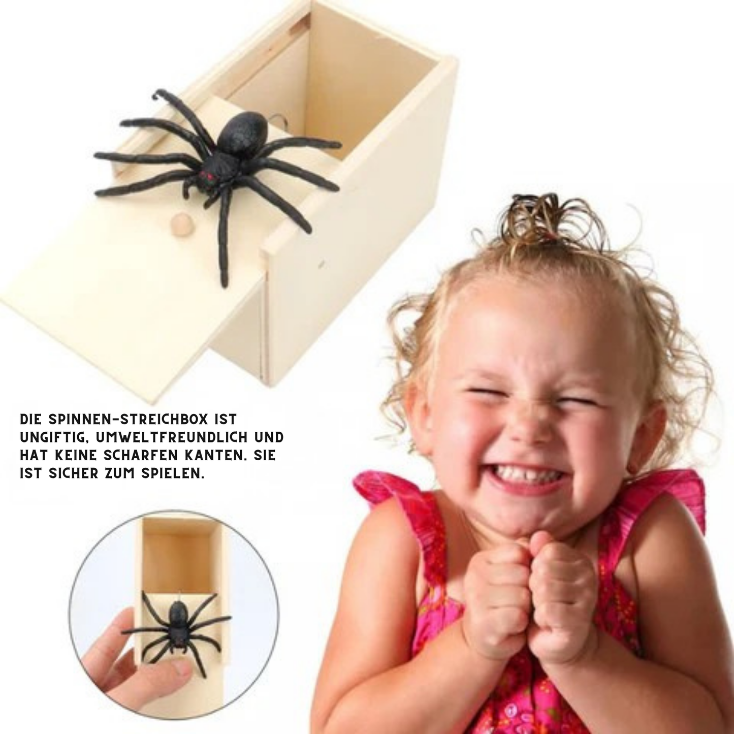 SchreckSchachtel - Die Ultimative Spinnen-Streichbox