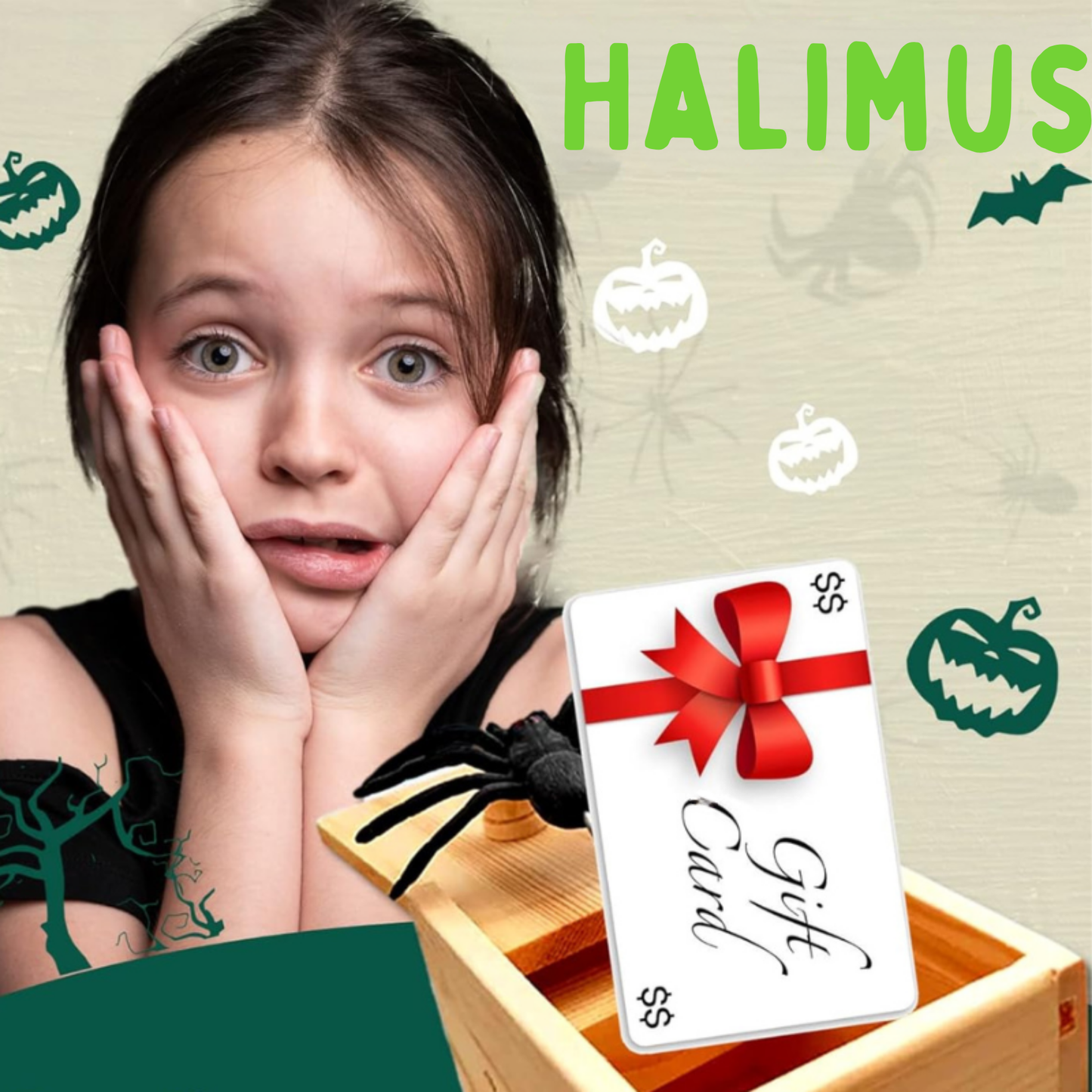 SchreckSchachtel - Die Ultimative Spinnen-Streichbox