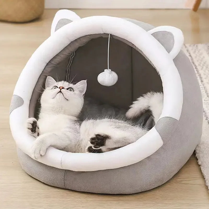 PurrNest