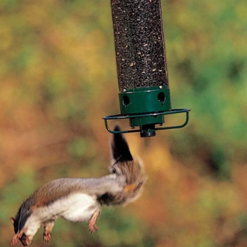 Gluschwein - Eichhörnchensicherer Vogelhäuschen