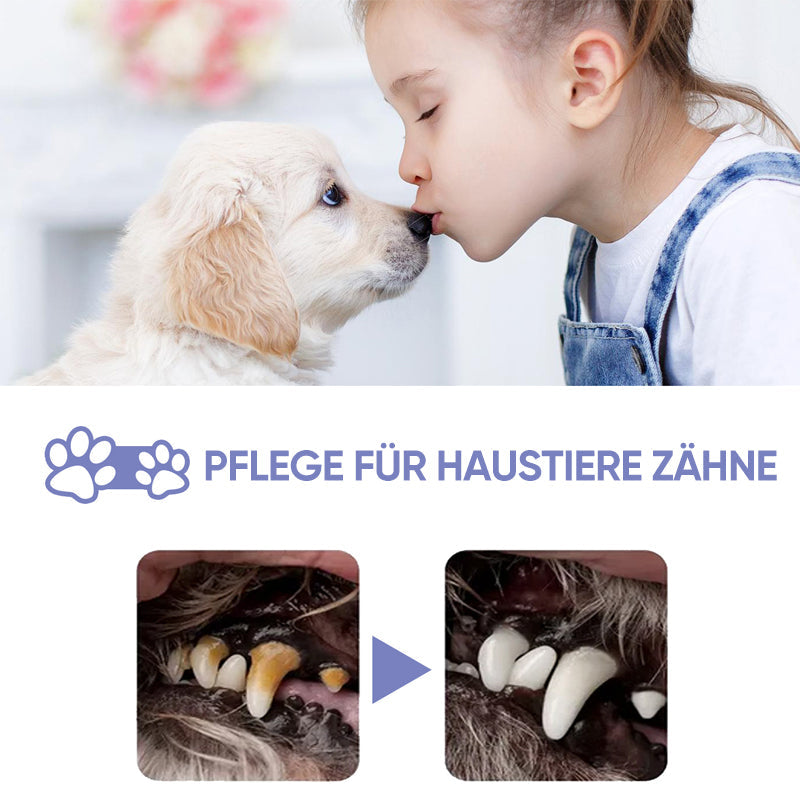 Gluschwein - Hunde- und Katzenzahnreinigungsspray