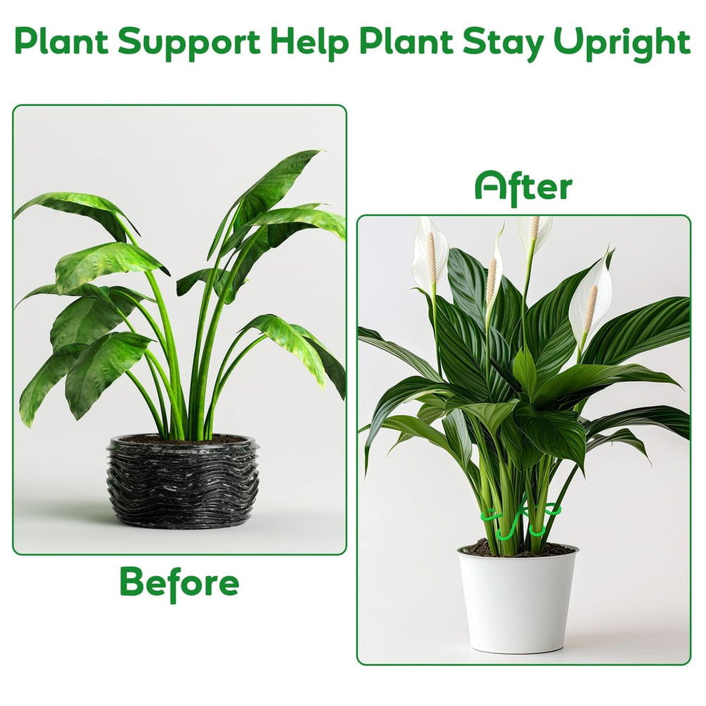 CompactPlant - Kit de stabilisation des tiges de plantes – Pour une croissance saine et une assise sûre