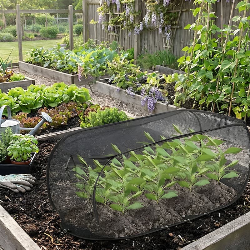 Plant Shield - Aufstellbarer Pflanzenschutz aus Netzgewebe