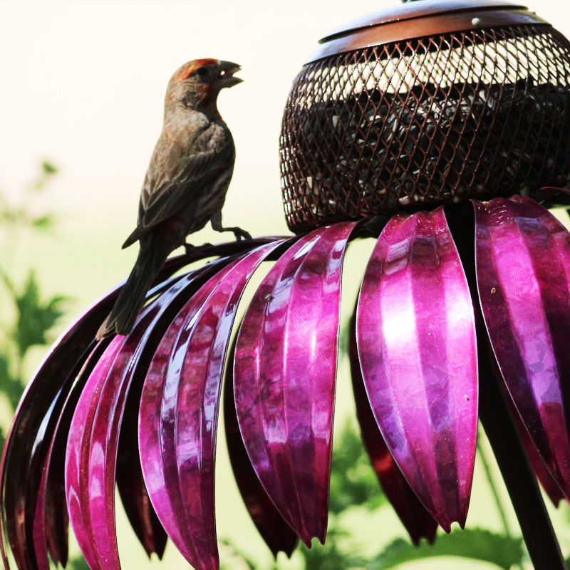 Gluschwein - Blumen Vogelhäuschen