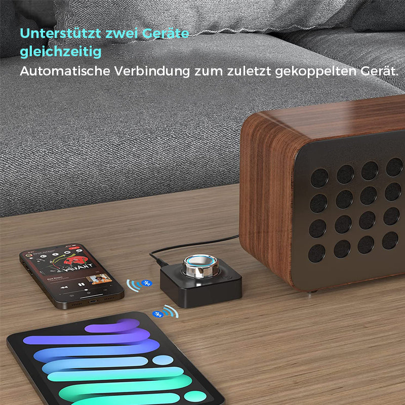 Gluschwein - Bluetooth 5.0 Audio-RCA-Empfänger