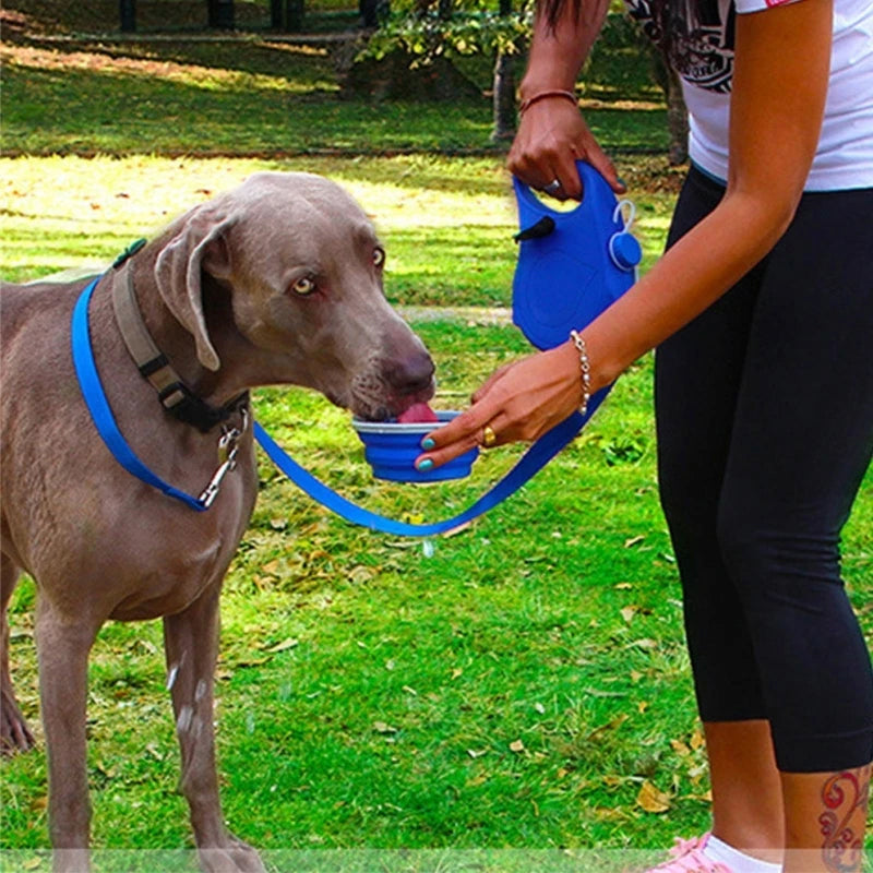 Gluschwein - 4-in-1-Rollleine für Hunde