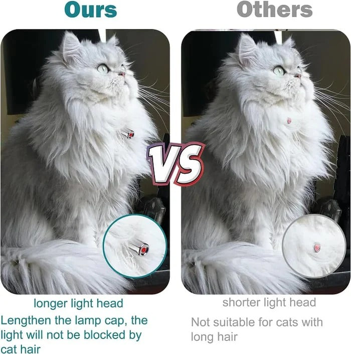 Gluschwein - Automatisches Katzen-Laserhalsband