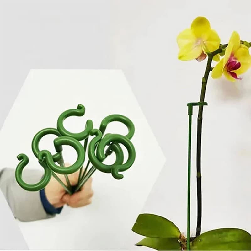 OrchidSupport