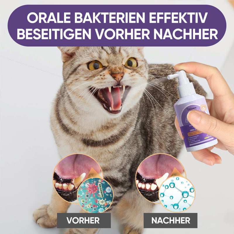 Gluschwein - Hunde- und Katzenzahnreinigungsspray