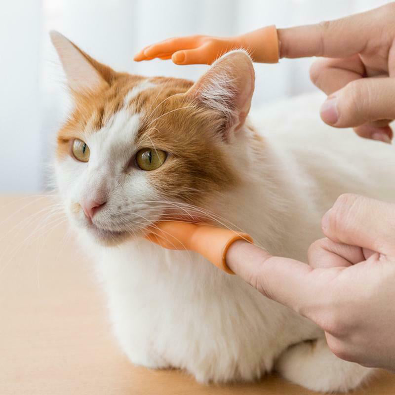 Gluschwein - Lustige Katzen-Massagehandschuhe