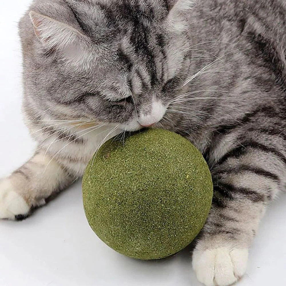 Gluschwein - Riesiger Katzenminze-Ball
