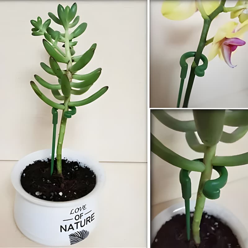 OrchidSupport