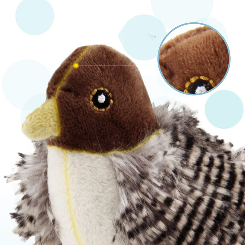 Jouet pour chat – Oiseau gazouillant simulé